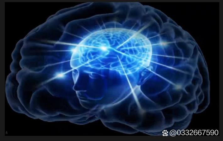 被全网黑的艺人其实一直在默默做公益,真相令人泪目
